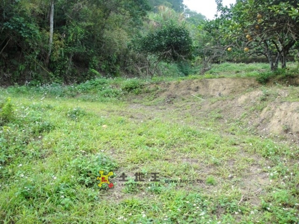 頭屋休閒農地