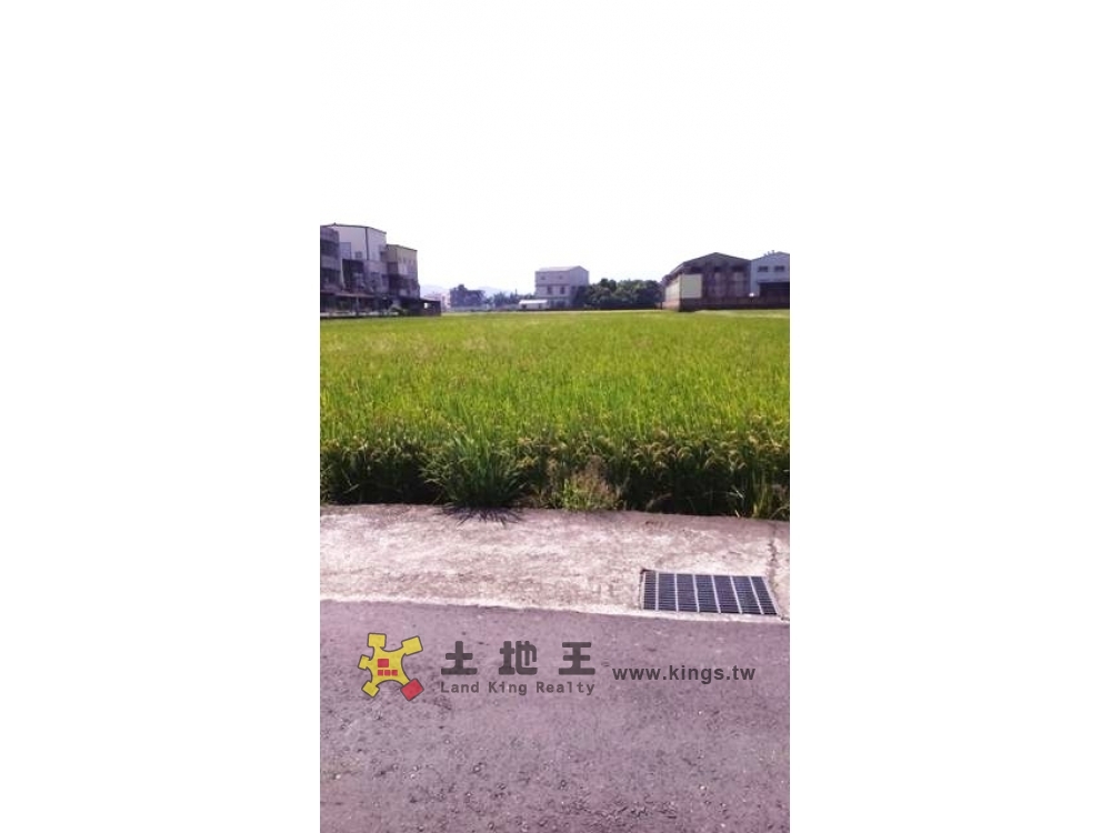 大倫田