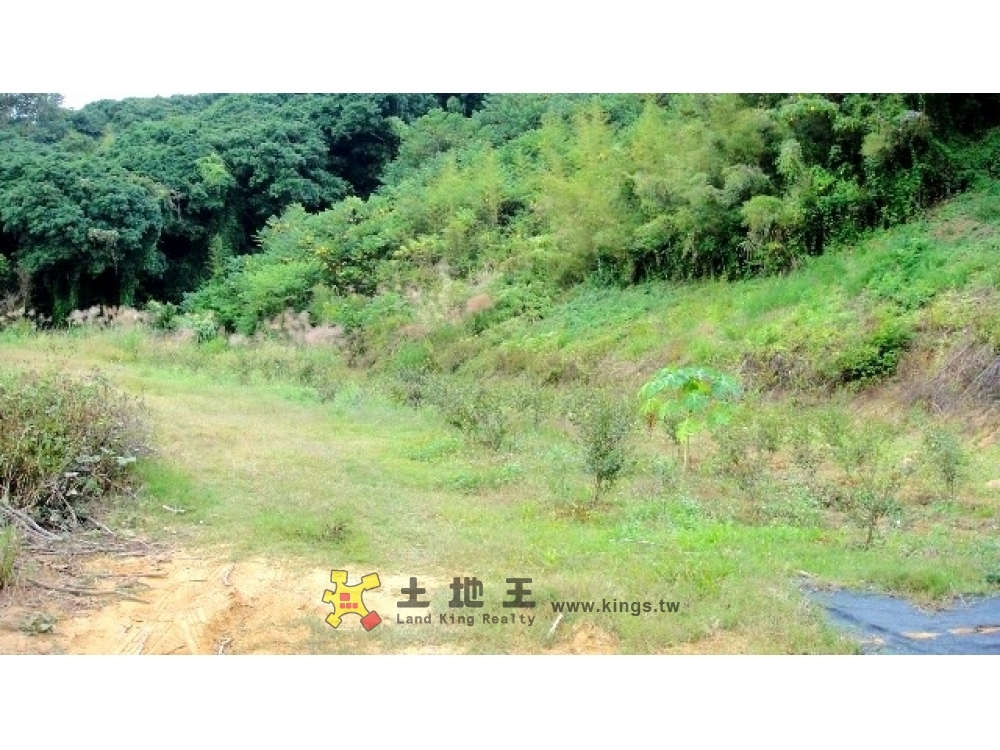 新川農地A