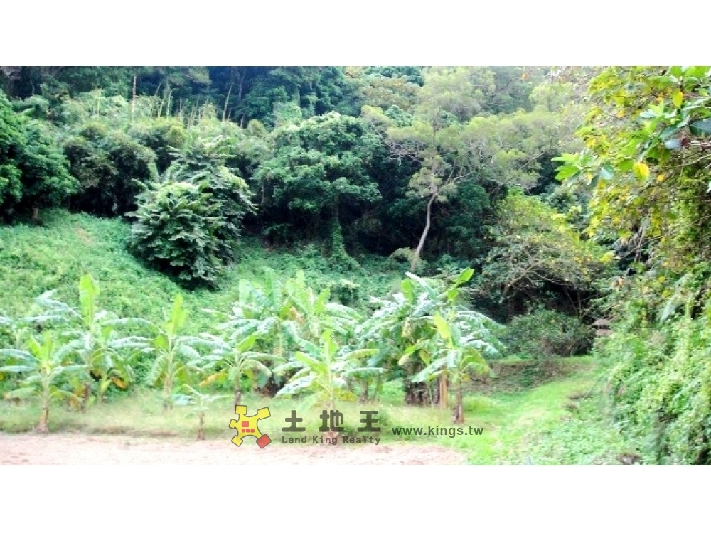 伯公坑休閒農地A