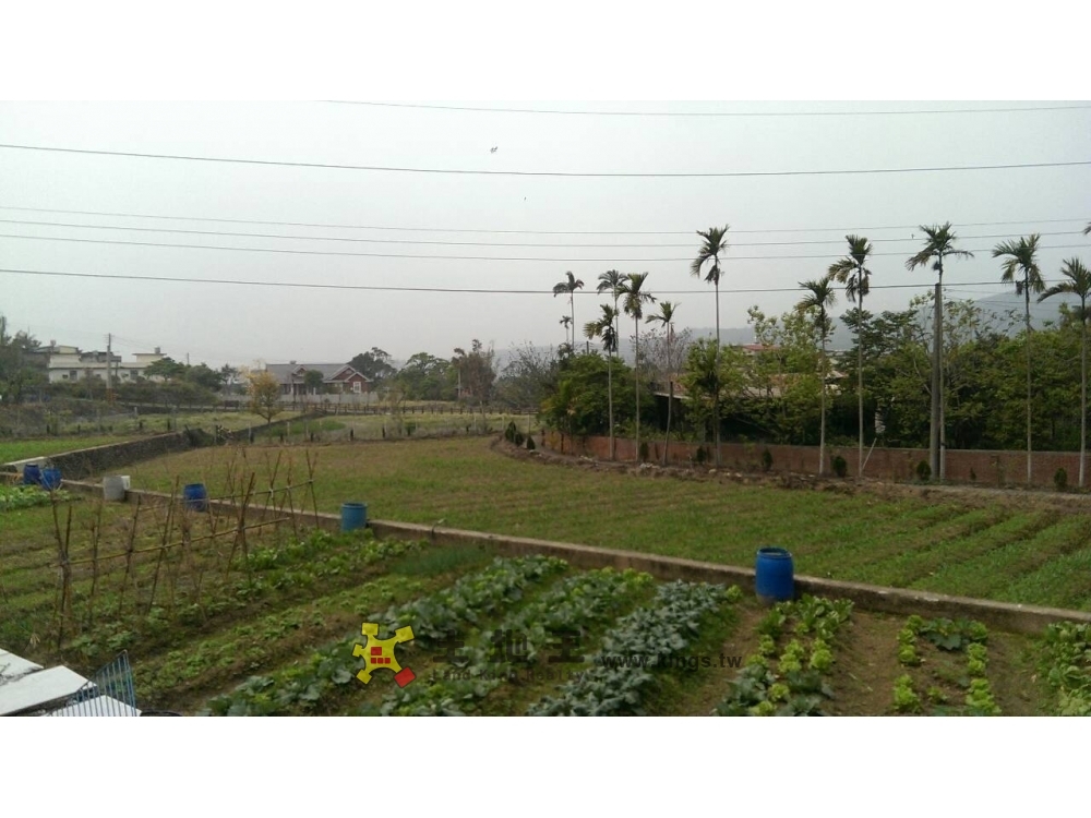 關西平坦美田