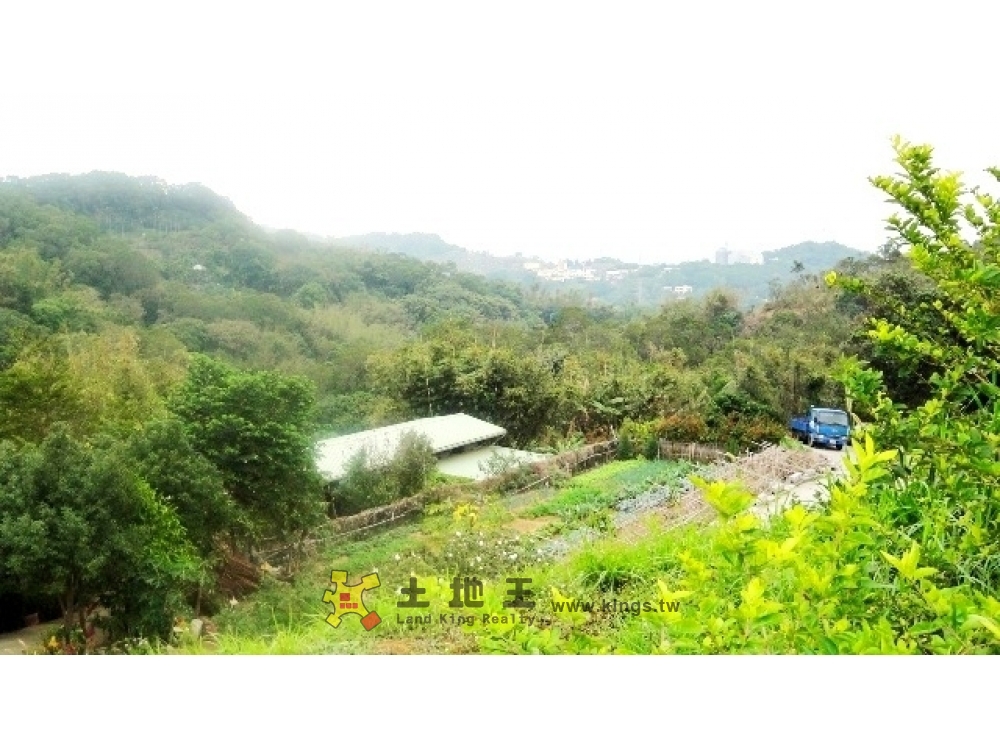伯公坑休閒農地B