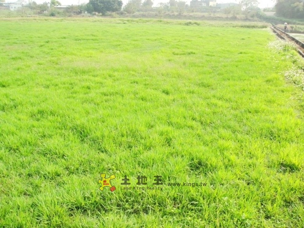 苗栗英才美田