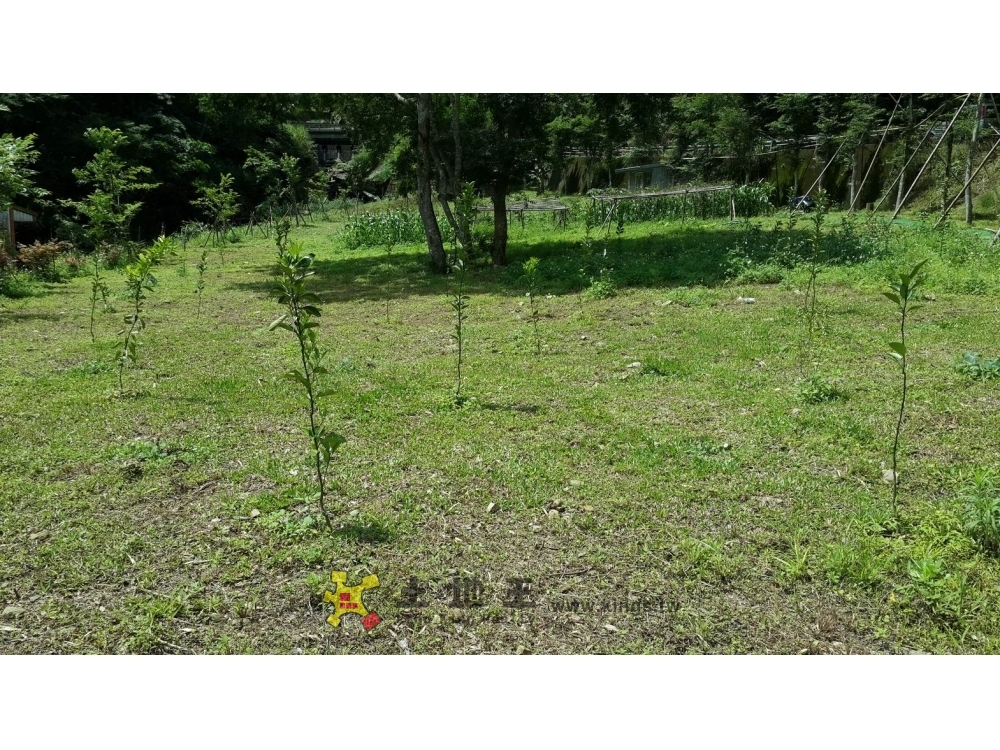 橫山內灣臨溪渡假休閒農牧用地