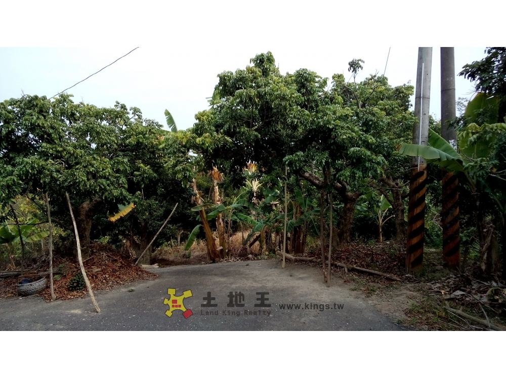 左鎮區內農地