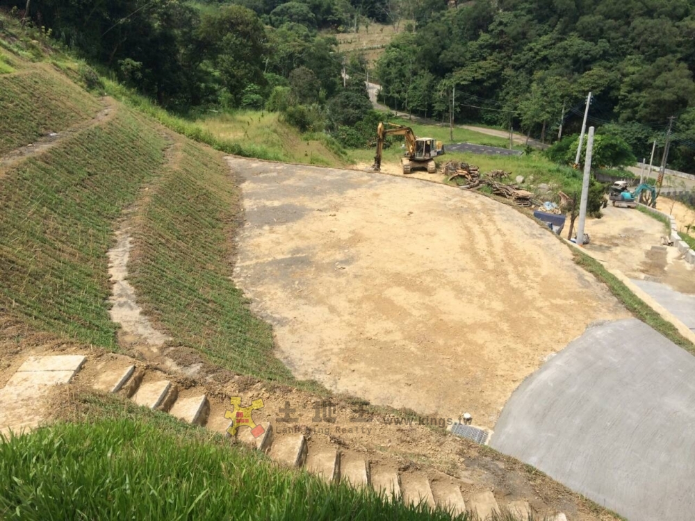 新埔九芎湖景觀休閒地(急急急)