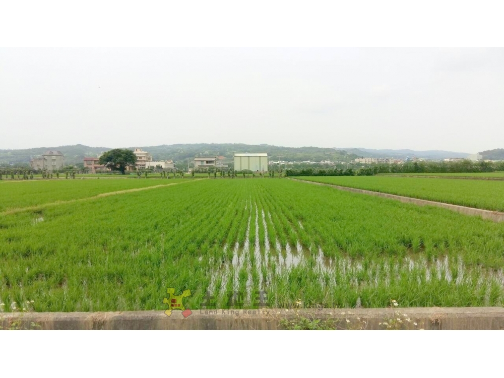 售1580萬【義民段美田2】新竹縣新埔鎮住商呂先生◎新埔鎮近新埔市區*方正農地