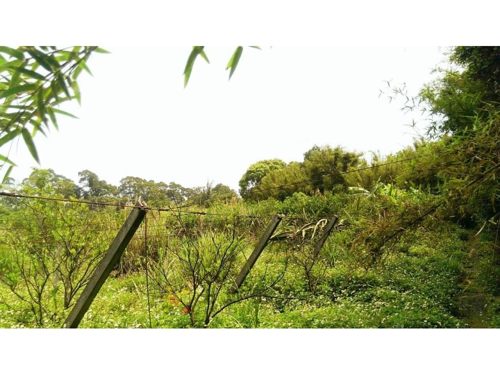 售2380萬【新埔南平景觀地】新竹縣新埔鎮住商陳小姐◎新埔鎮近新埔市區*休閒農地