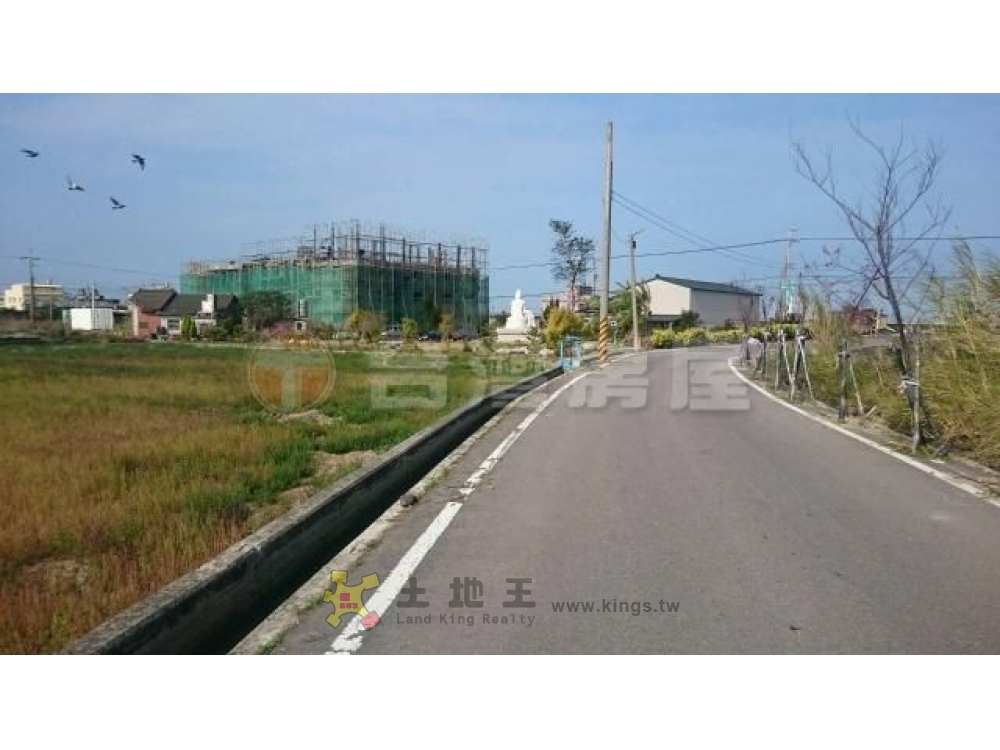 苗栗縣苑裡鎮藍田段藍田大發地出售