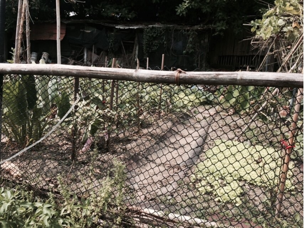 石壁潭小塊田