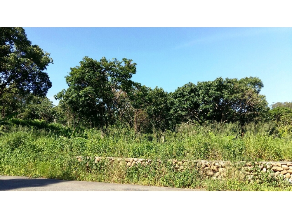 售1900萬【旱坑別墅地】新竹縣新埔鎮住商呂先生◎新埔鎮近新埔市區*大面寬農地