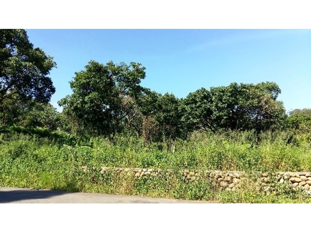 售1900萬【旱坑別墅地】新竹縣新埔鎮住商陳小姐◎新埔鎮近新埔市區*大面寬農地
