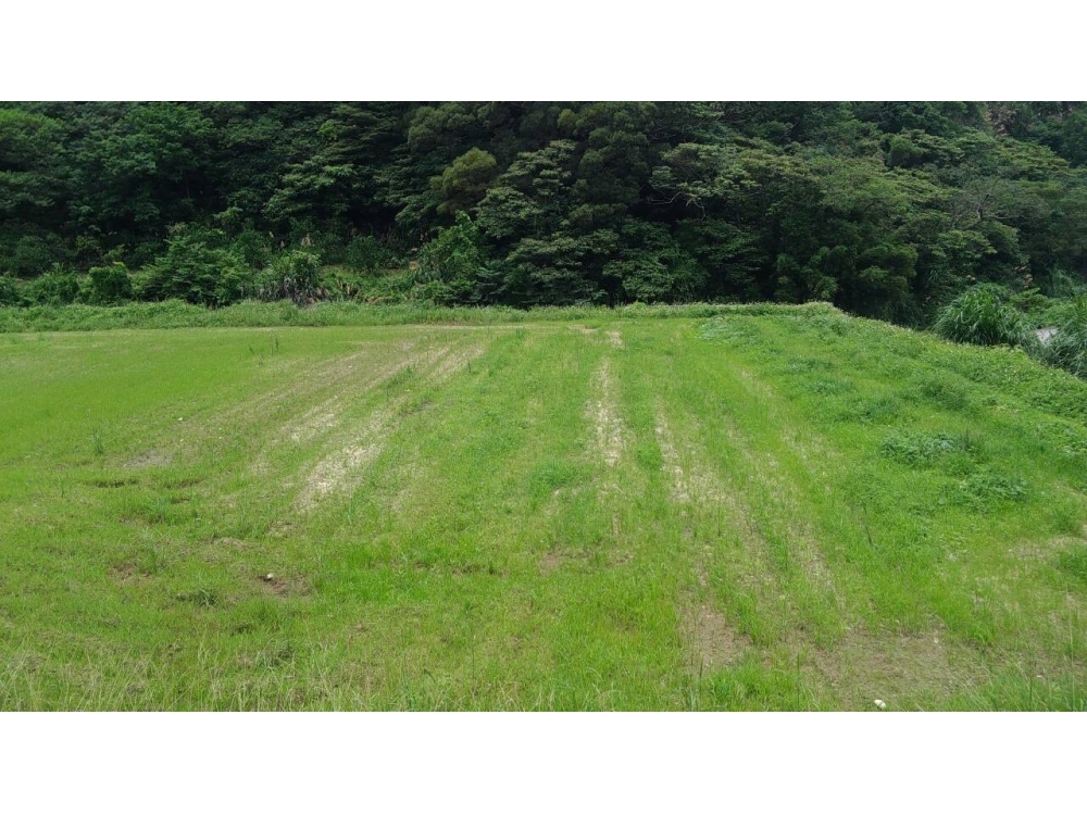 林口山泉世外極美大地-嘉誠地產