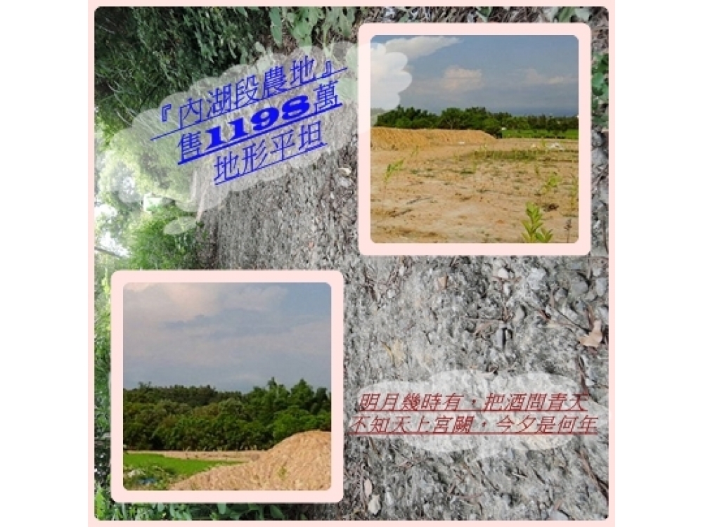 『內湖段農地』地形平坦SPT小連