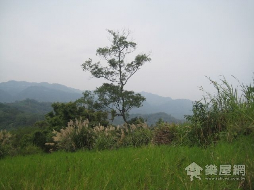 景山石門客棧景觀休閒山坡地~福美居房屋