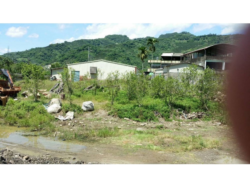 南投國姓鄉 林牧用地 臨20米路 出入便利