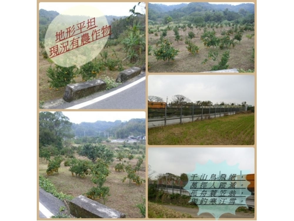 『竹南天聲段農地』地形平坦*SPT小連
