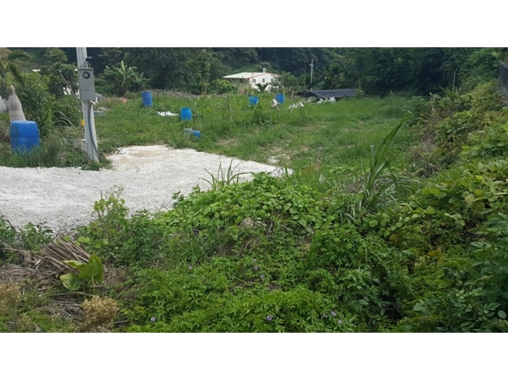 售515萬【楊新路小坪數美田】新竹縣新埔鎮住商呂先生◎新埔鎮近新埔市區*小坪數田