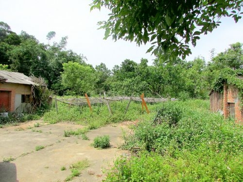 苗栗聯大丙建+旱、林、溜