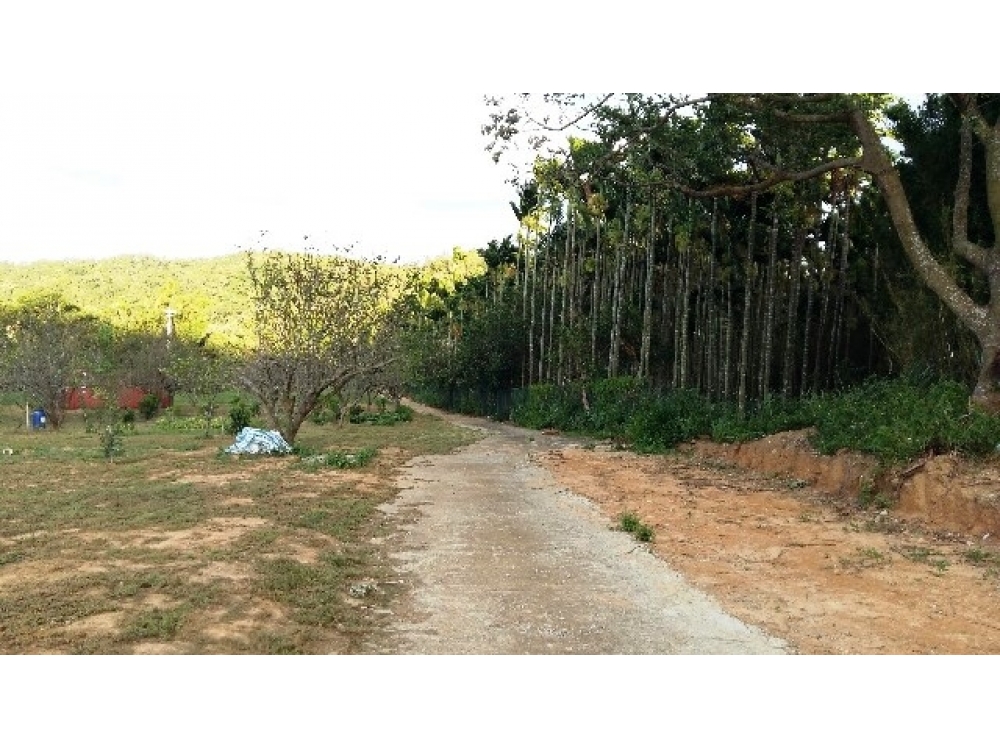 新埔田字型平坦美地