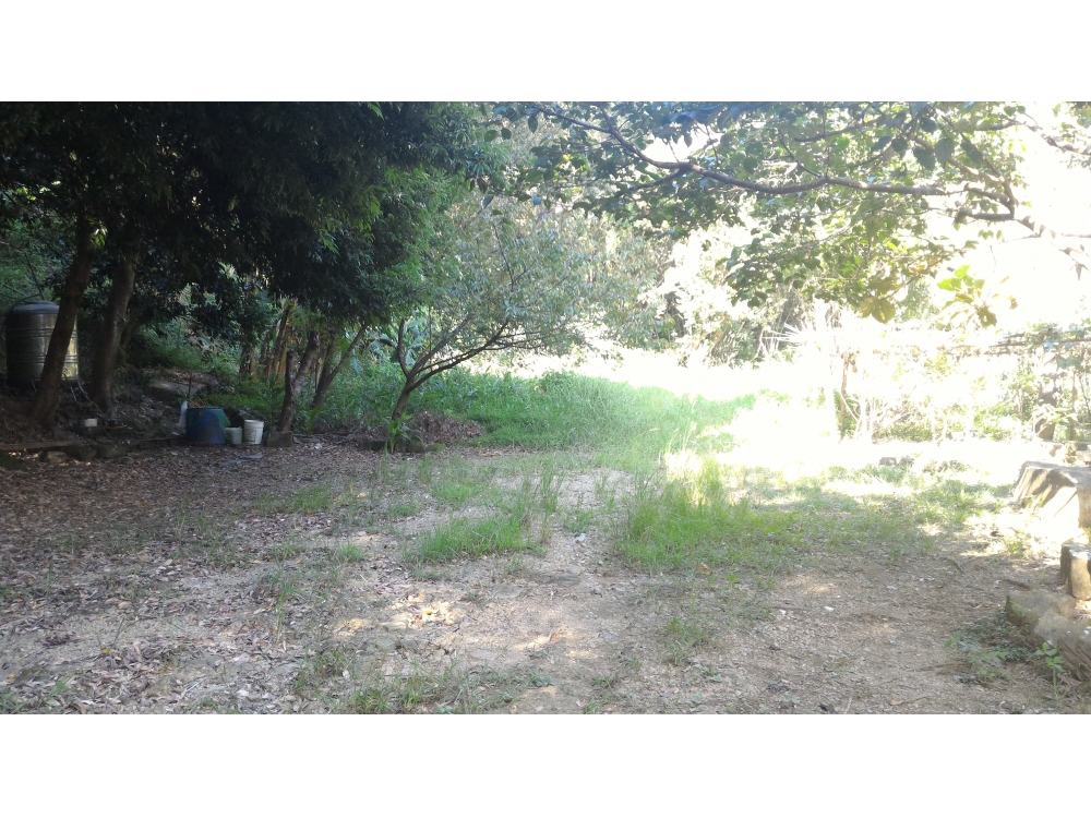 圳仔頭厝地丙建