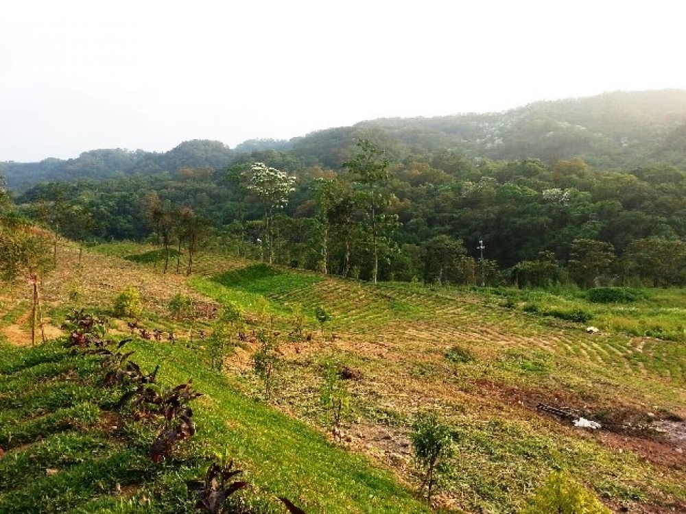 售580萬【宝石莊園】新竹縣新埔鎮住商呂先生◎新埔鎮近新埔市區*低總價莊園★