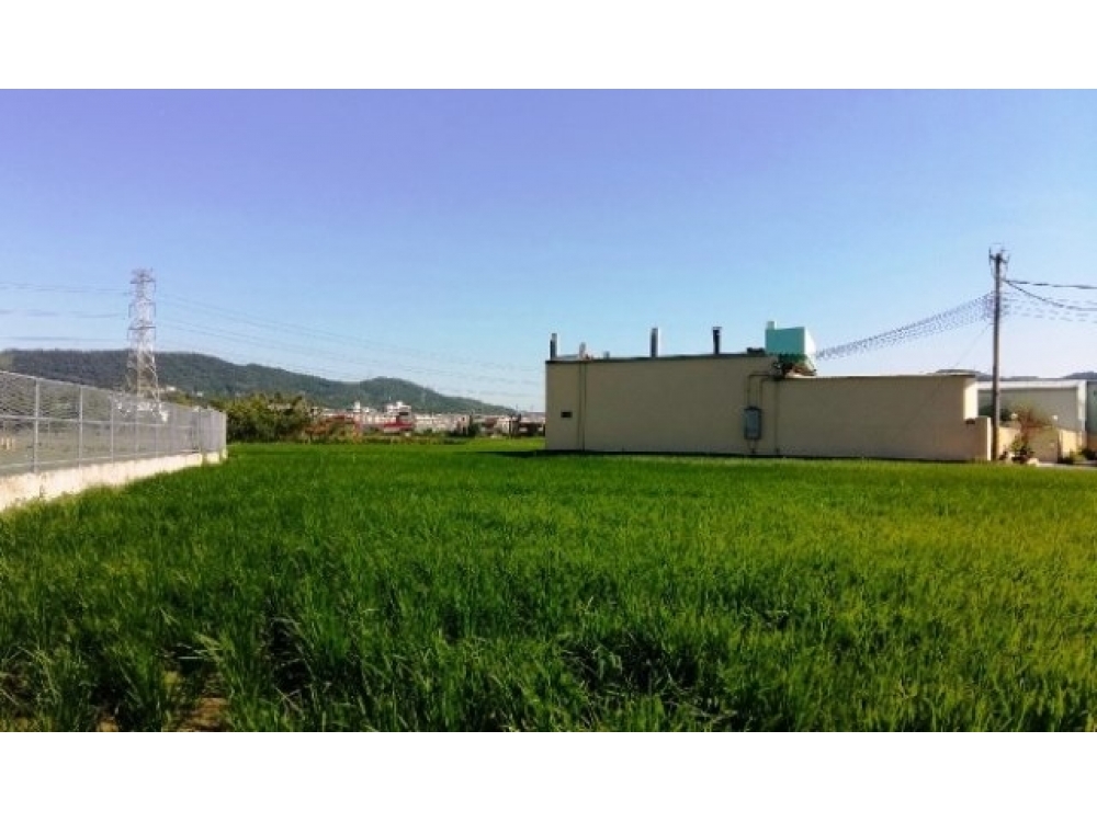 售9300萬【新埔都計內田+工業地】新竹縣新埔鎮住商呂先生◎新埔鎮近新埔市區