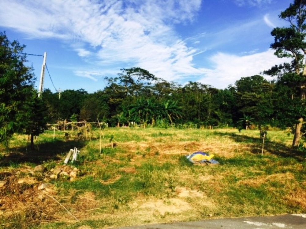 售1750萬【新埔新龍路農舍地】新竹縣新埔鎮住商呂先生◎新埔鎮近新埔市區