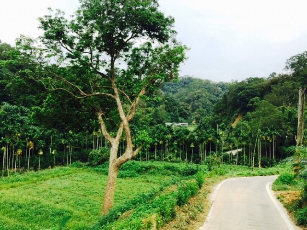 售1360萬【關西坪林景觀建地】新竹縣關西鎮住商呂先生◎關西鎮近關西市區