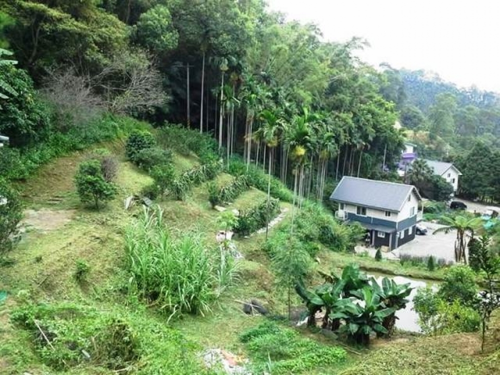 售980萬【橫山沙坑超美景觀農地】新竹縣橫山鄉住商呂先生◎橫山鄉