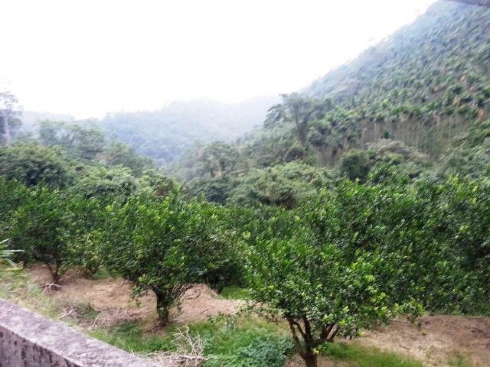 售660萬【關西玉山臨路美地】新竹縣關西鎮住商呂先生◎關西鎮★
