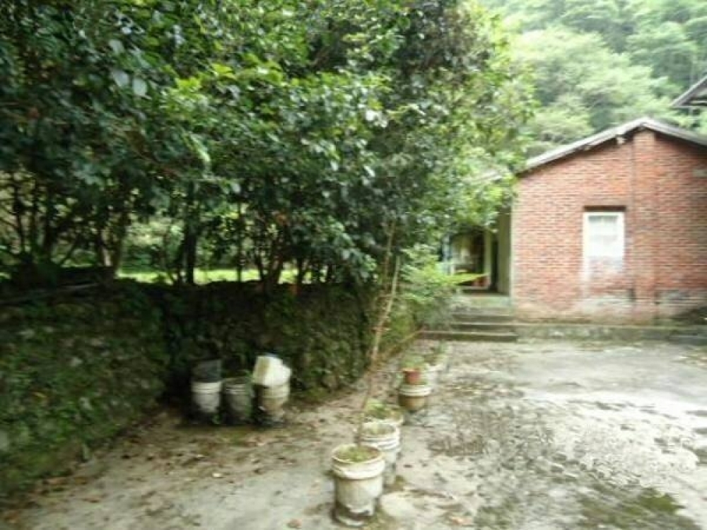 燥樹排建地