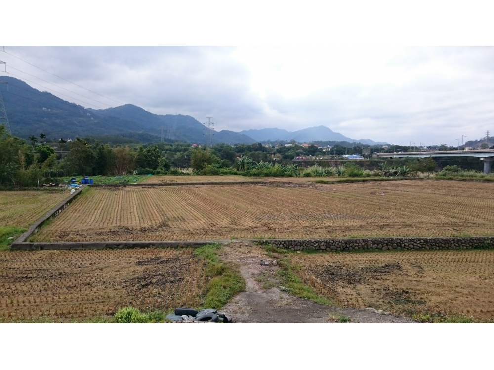 油羅溪畔使用權美地