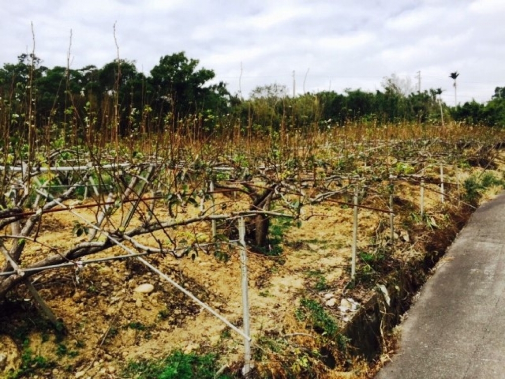售598萬【南平景觀美地】新竹縣新埔鎮 住商◎新埔鎮南平★近市區