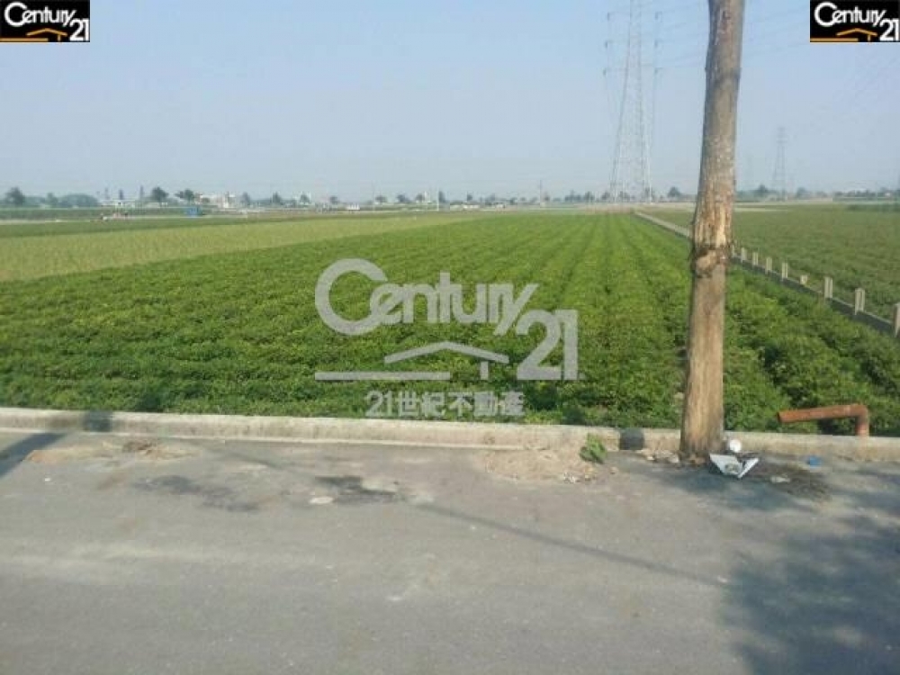 子茂中坑農地