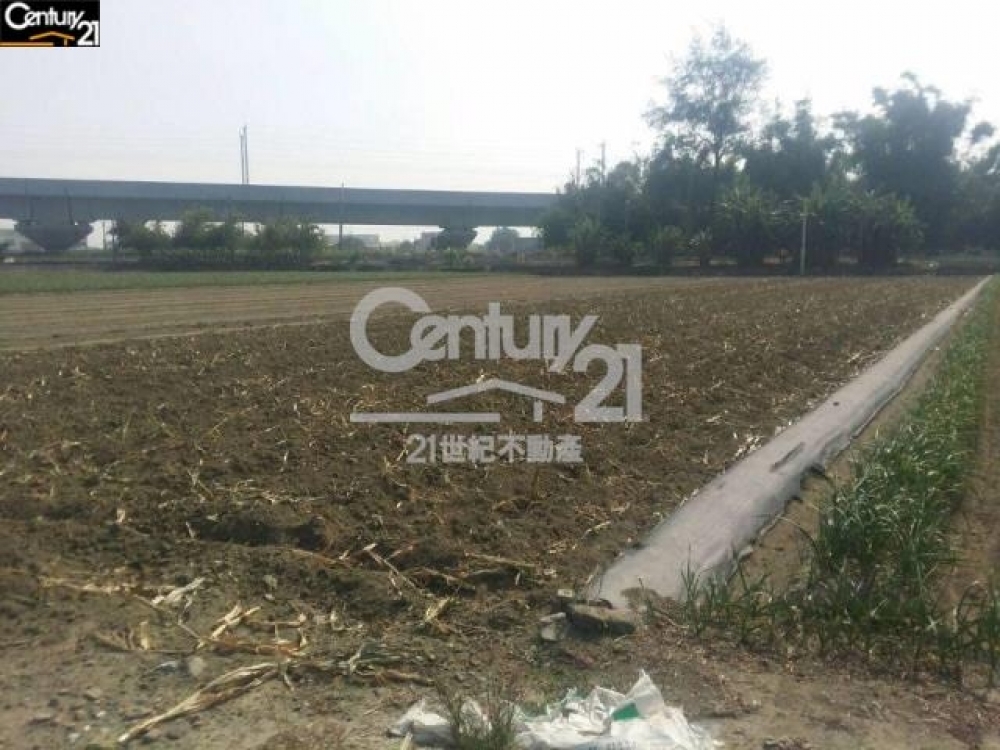 新興蘆竹塘農地