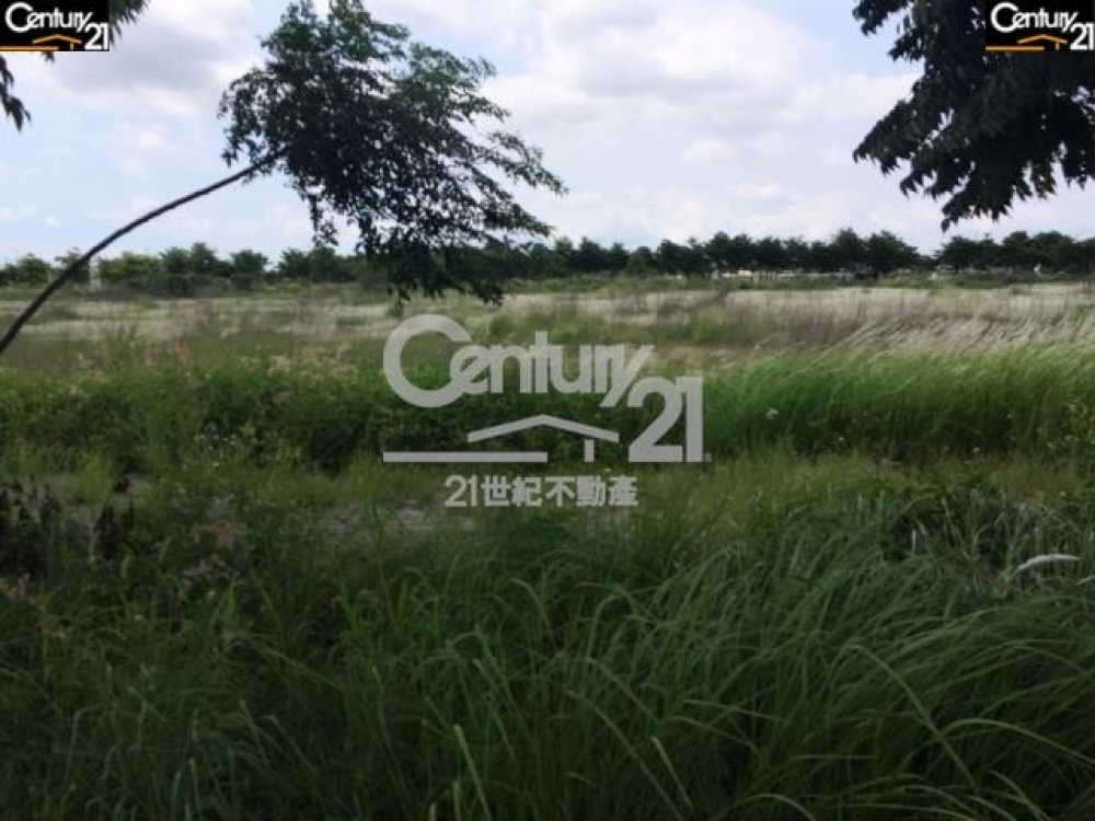 高北學府二路角地