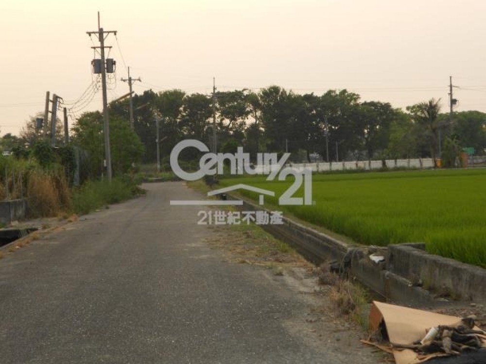 大埤近台1線農地