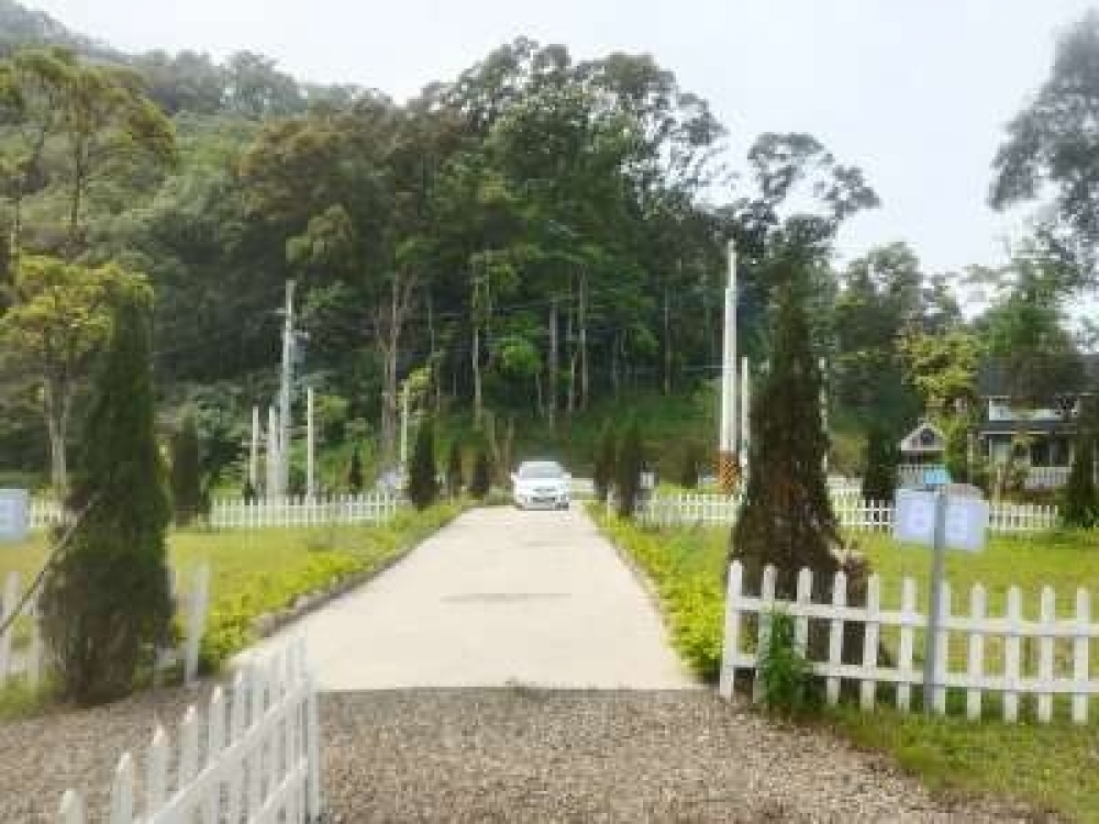 大山戀養生莊園B6