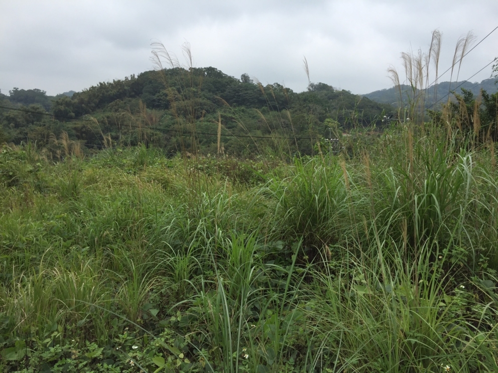  竹東土地網/羅明珠售屋網~雙臨路視野美地(21世紀竹東朝陽