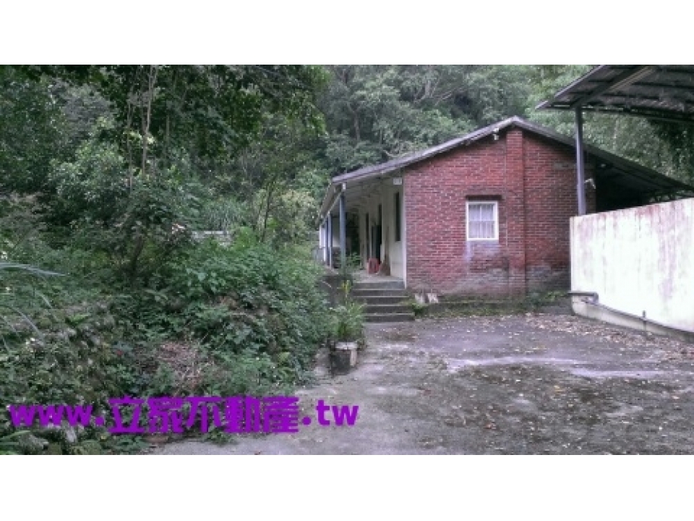 燥樹排老丙建