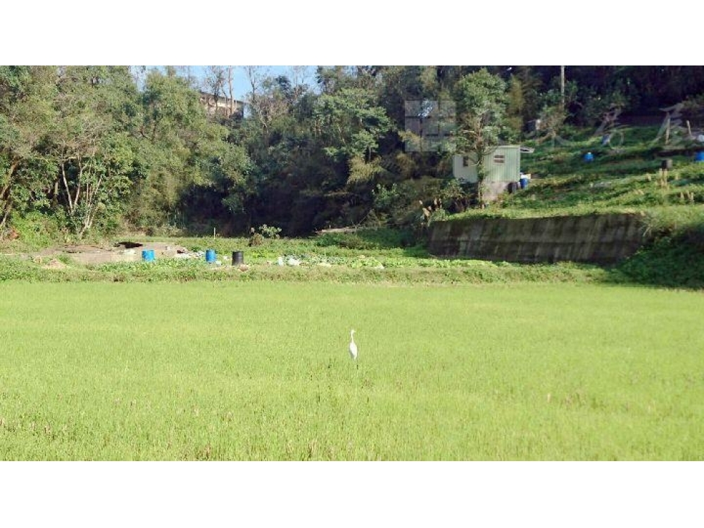 苗栗三義地形漂亮農地