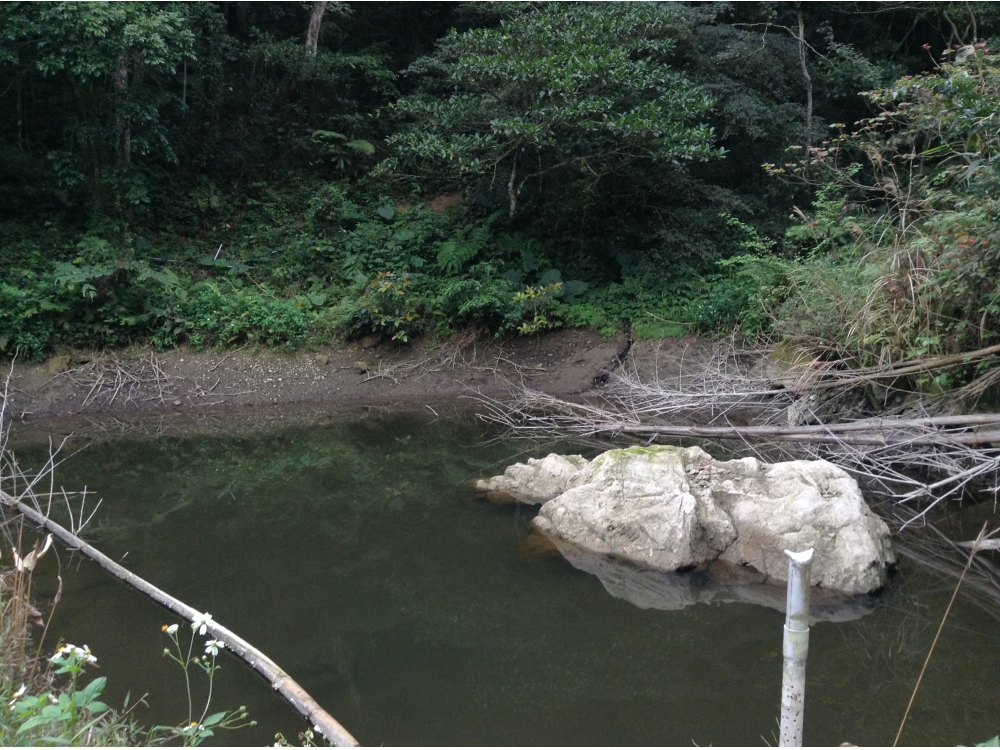 頭屋難南岸休閒農地