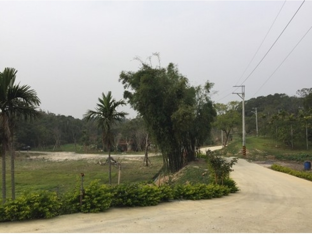 苗栗西湖700坪山塘印月苗栗高埔農地