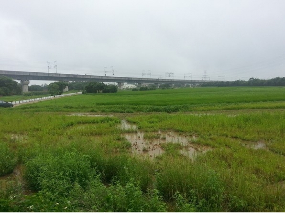 桃園楊梅800坪楊梅台31線農地