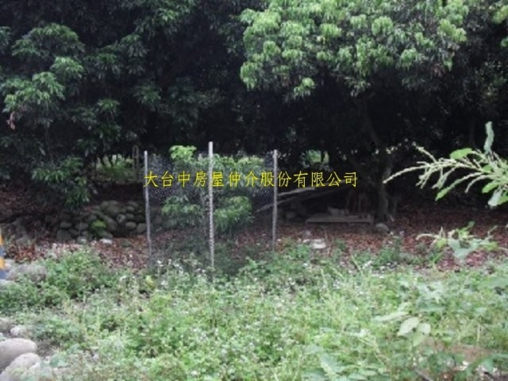 1187卓蘭小風坑土地