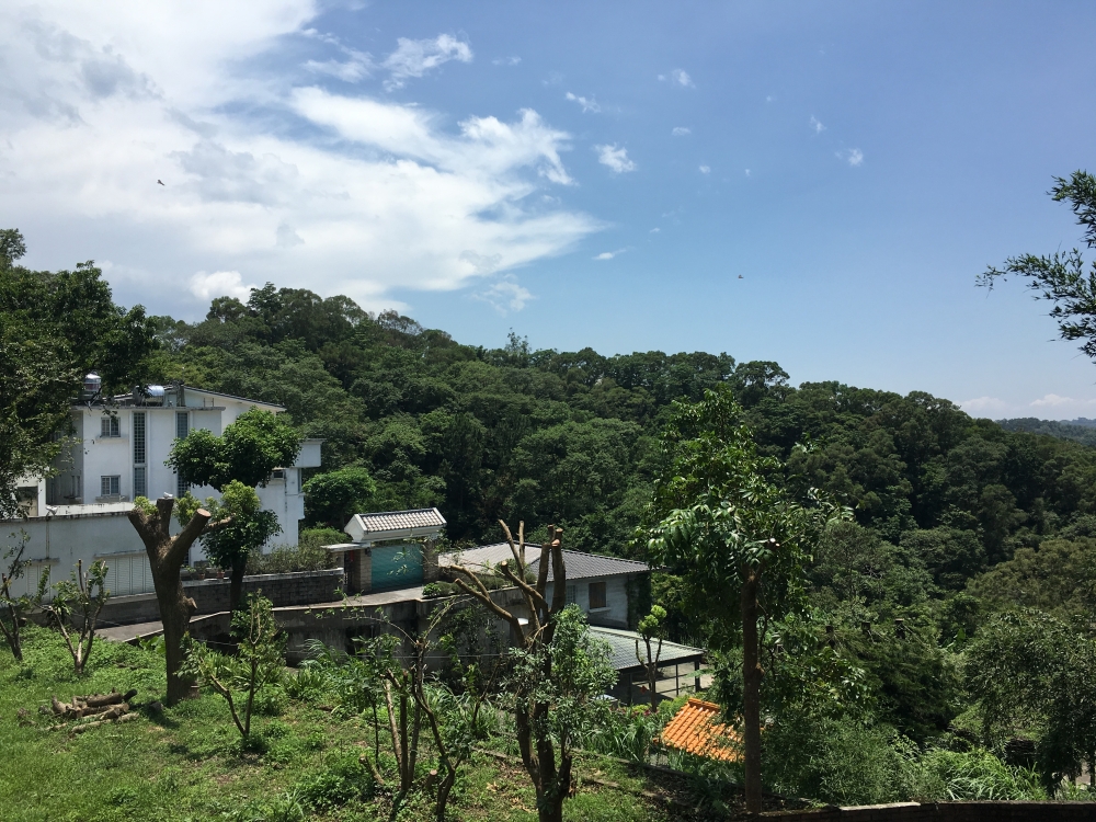 視野庭院大宅