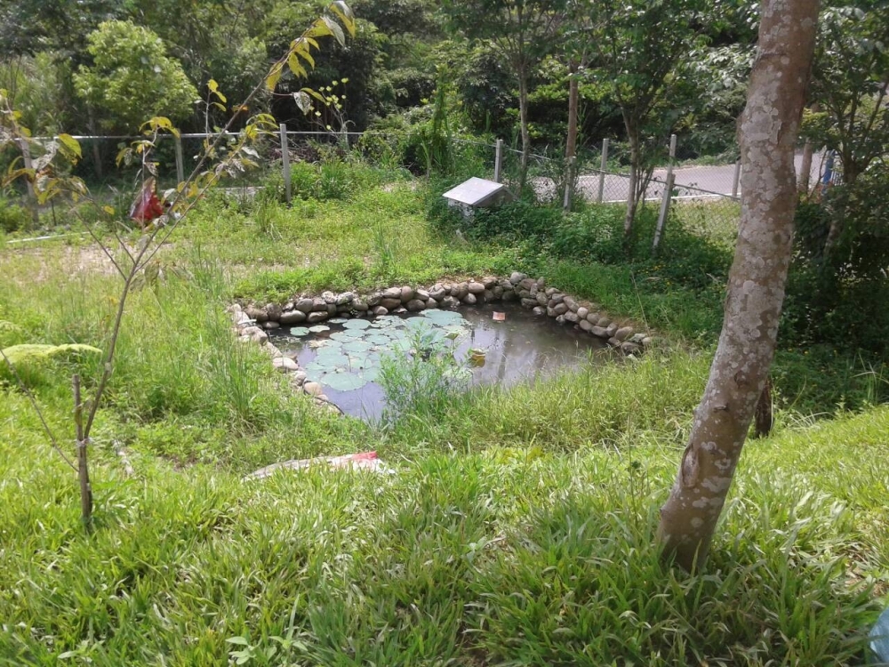 南埔休閒美地