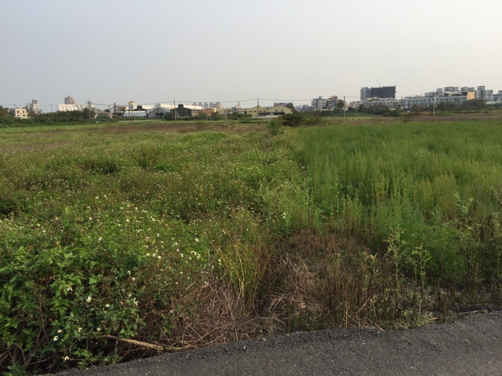 富強路店面農地