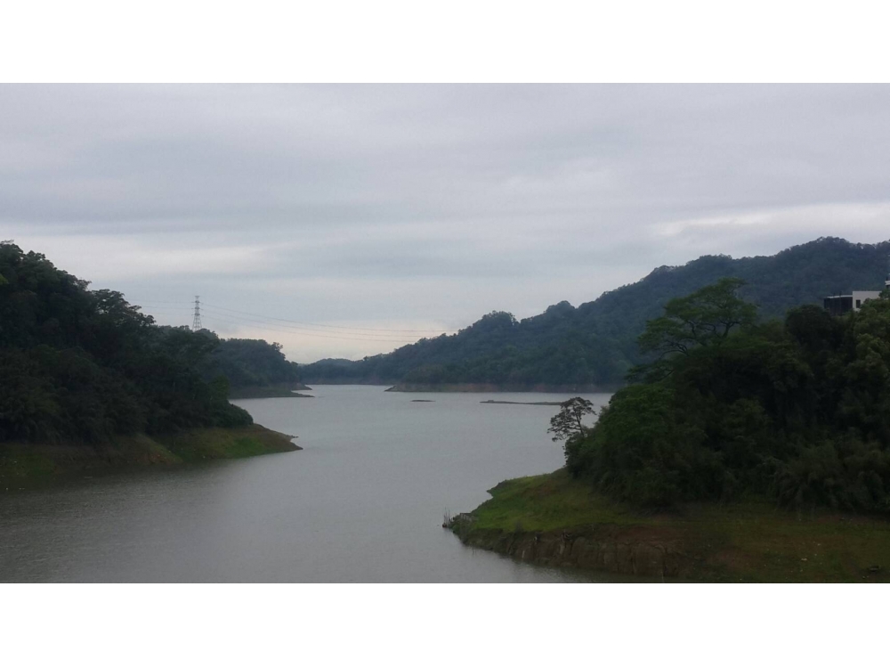 鯉魚潭景觀種植高接梨-優質田地